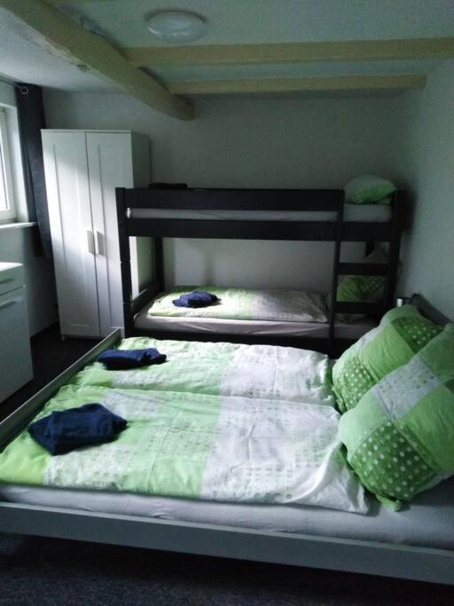Wohnung Im Gruenen In オルスベルク エクステリア 写真